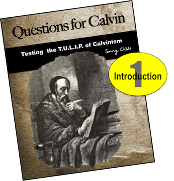 Questions for Calvin 1