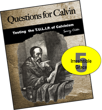 Questions for Calvin 3