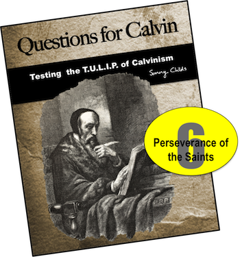 Questions for Calvin 6