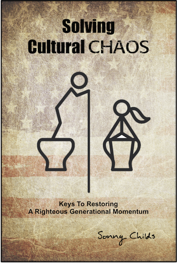 Solving Cultural Chaos book cover