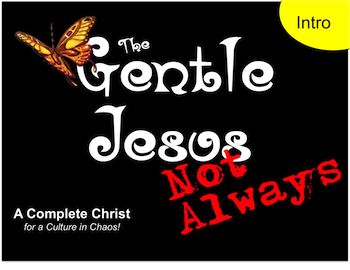 Gentle Jesus? Not Always! Introduction