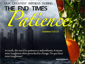 Holy Spirit: Patience